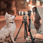 無料(フリー)で使える高画質写真素材サイト12選(商用OK)【2019年版】